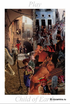 Nature Tarot by Jan Strube